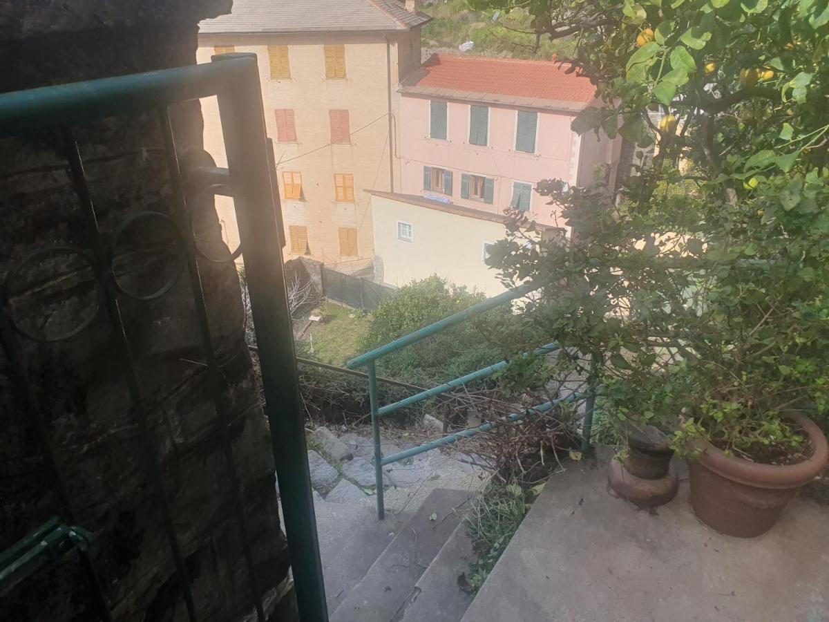 Monterosso Apartments In Servano'S Villas Monterosso al Mare Eksteriør bilde
