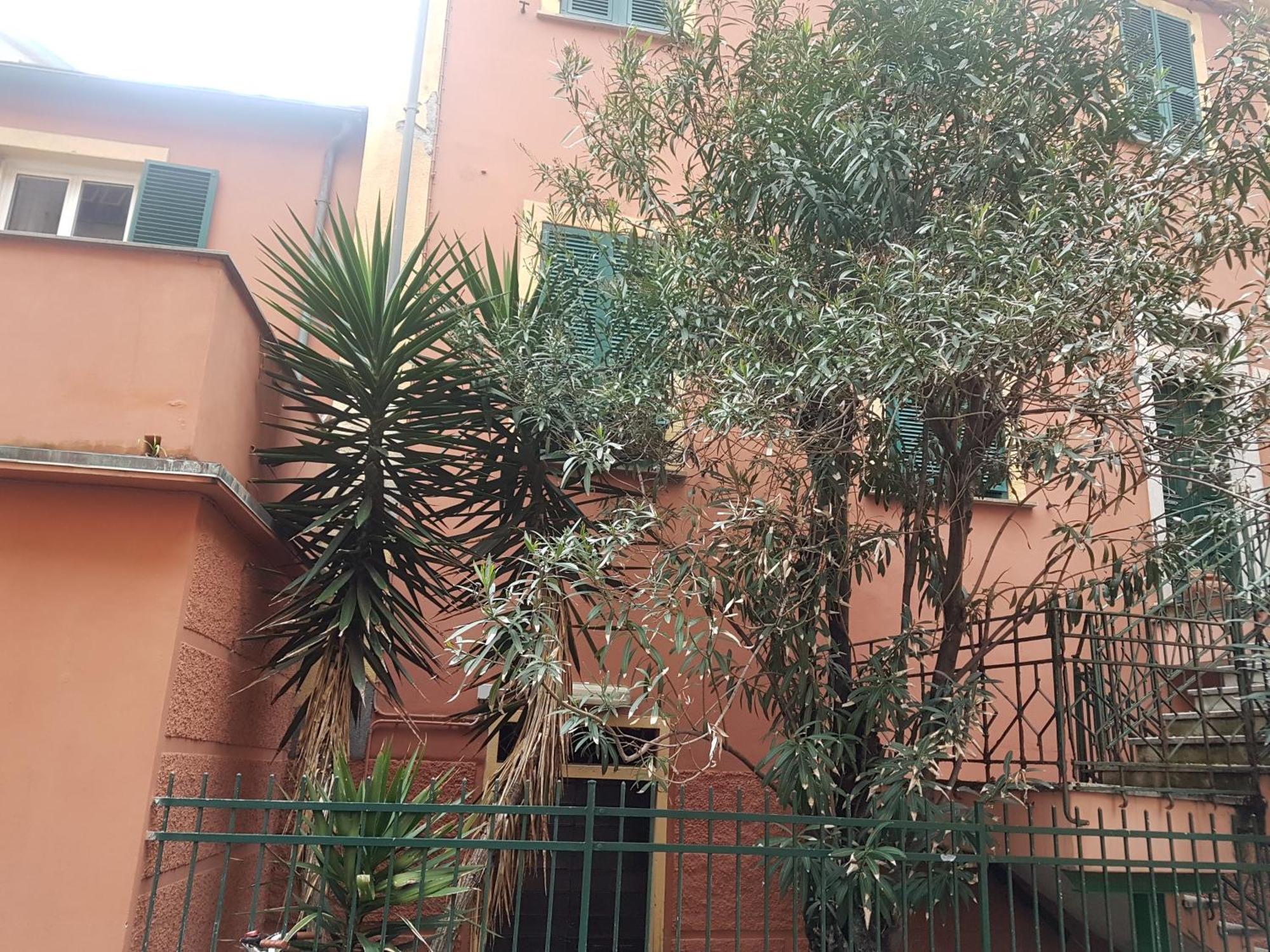 Monterosso Apartments In Servano'S Villas Monterosso al Mare Eksteriør bilde